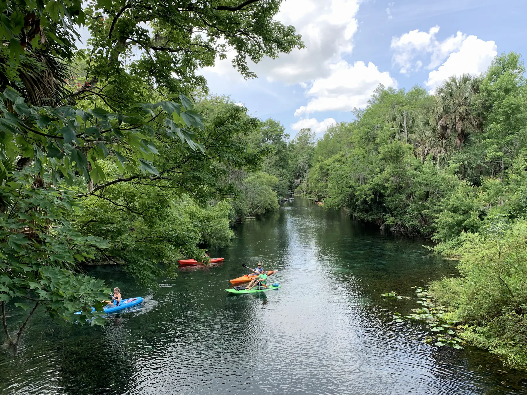 Kayakers on the clear water of the Silver River under a canopy of oaks and palms